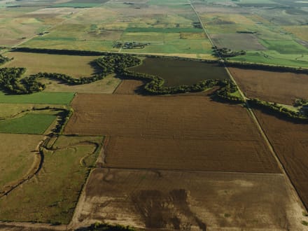 LIVE & ONLINE AUCTION - Tract 4 of 5 - 98.2+/- Acres In Barton County Kansas