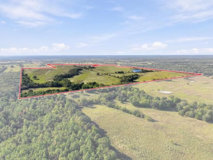 Rocking W Ranch | 258.43 Acres FM 195 Corridor | Lamar County, Texas