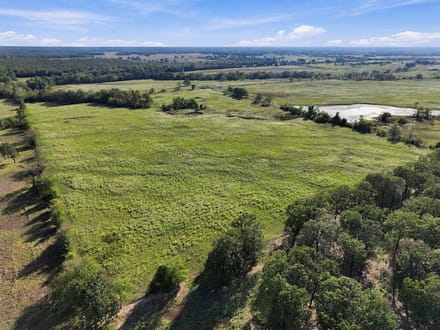 Rocking W Ranch | 258.43 Acres FM 195 Corridor | Lamar County, Texas
