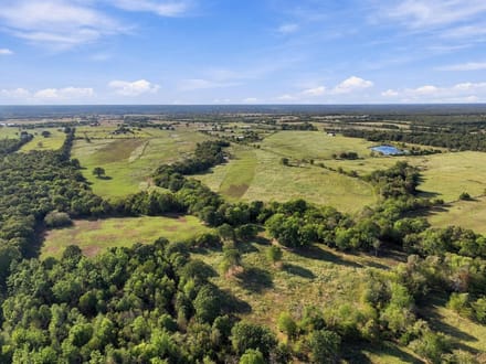 Rocking W Ranch | 258.43 Acres FM 195 Corridor | Lamar County, Texas
