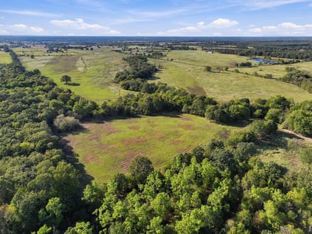 Rocking W Ranch | 258.43 Acres FM 195 Corridor | Lamar County, Texas