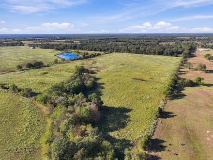 Rocking W Ranch | 258.43 Acres FM 195 Corridor | Lamar County, Texas