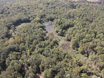 Discover 66± acres of outstanding hunting and recreational land