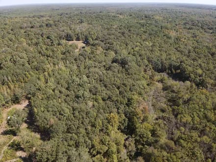 Discover 66± acres of outstanding hunting and recreational land