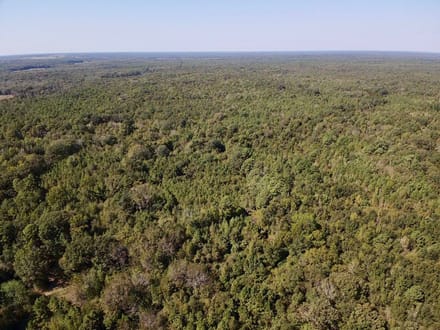 Discover 66± acres of outstanding hunting and recreational land