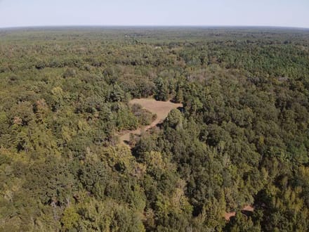 Discover 66± acres of outstanding hunting and recreational land