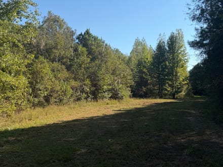 Discover 66± acres of outstanding hunting and recreational land
