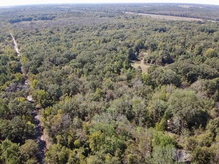 Discover 66± acres of outstanding hunting and recreational land