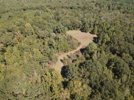 Discover 66± acres of outstanding hunting and recreational land