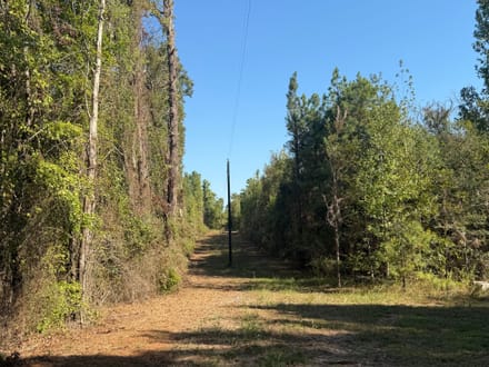 Discover 66± acres of outstanding hunting and recreational land
