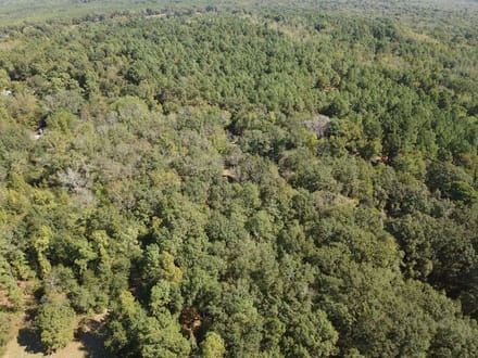 Discover 66± acres of outstanding hunting and recreational land