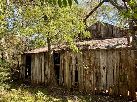 11+ Acres | Whiterock Community | Red River County, TX