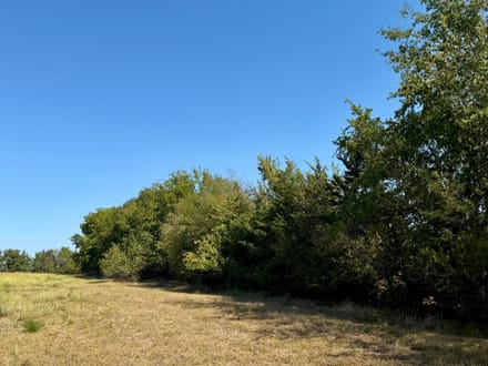 11+ Acres | Whiterock Community | Red River County, TX