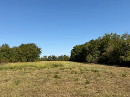 11+ Acres | Whiterock Community | Red River County, TX