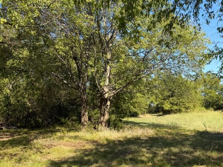 11+ Acres | Whiterock Community | Red River County, TX