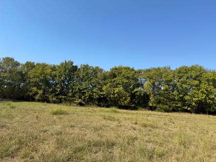 11+ Acres | Whiterock Community | Red River County, TX