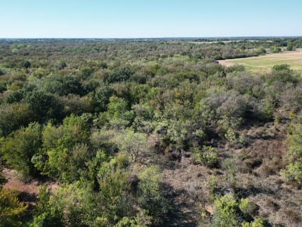 311+/- Ac, Comanche Co.