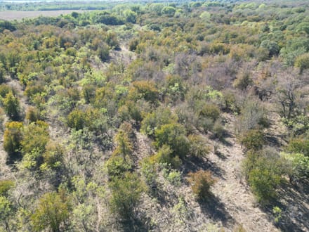 311+/- Ac, Comanche Co.