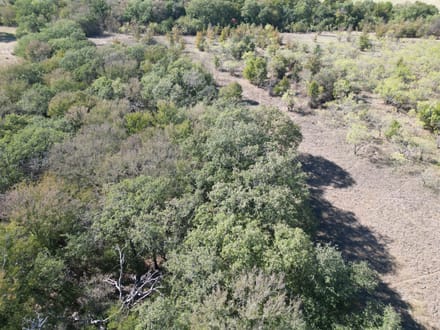 311+/- Ac, Comanche Co.