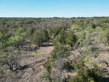 311+/- Ac, Comanche Co.