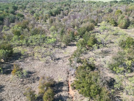 311+/- Ac, Comanche Co.