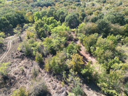311+/- Ac, Comanche Co.