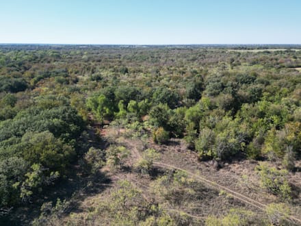 311+/- Ac, Comanche Co.