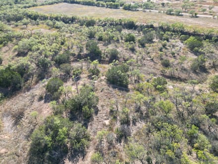 51 +- Ac TBD CR 196 (Tr 2), Taylor Co.