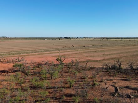 160 +/- Ac & MH 13725 County Rd 455, Jones Co.