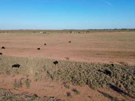 160 +/- Ac & MH 13725 County Rd 455, Jones Co.