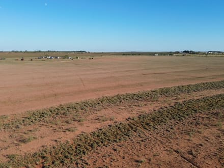 160 +/- Ac & MH 13725 County Rd 455, Jones Co.