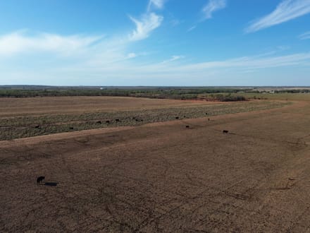 160 +/- Ac & MH 13725 County Rd 455, Jones Co.