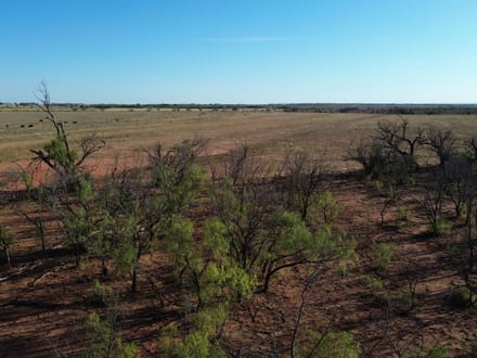 160 +/- Ac & MH 13725 County Rd 455, Jones Co.