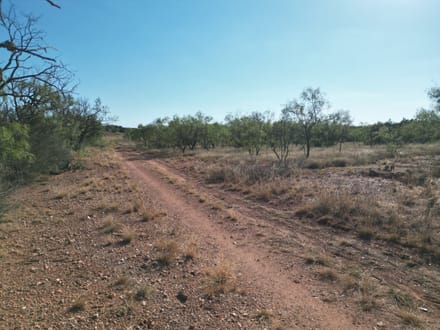 48.5 +/- Ac TBD CR 206 (Tr 3), Ovalo