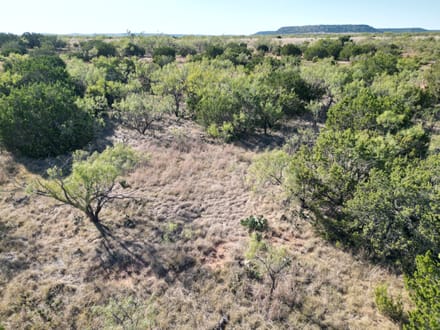 48.5 +/- Ac TBD CR 206 (Tr 3), Ovalo