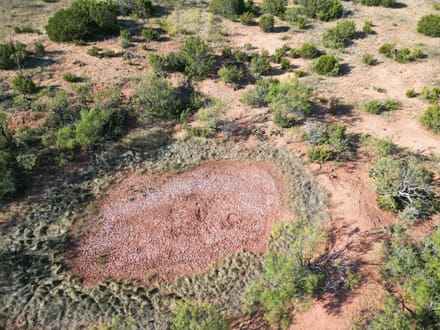 48.5 +/- Ac TBD CR 206 (Tr 3), Ovalo