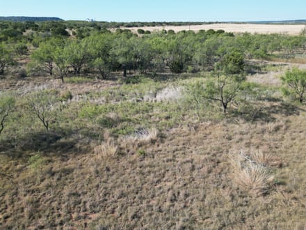 48.5 +/- Ac TBD CR 206 (Tr 3), Ovalo