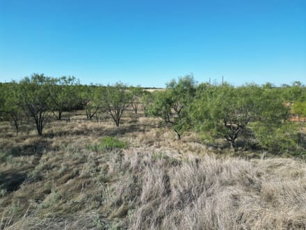 48.5 +/- Ac TBD CR 206 (Tr 3), Ovalo