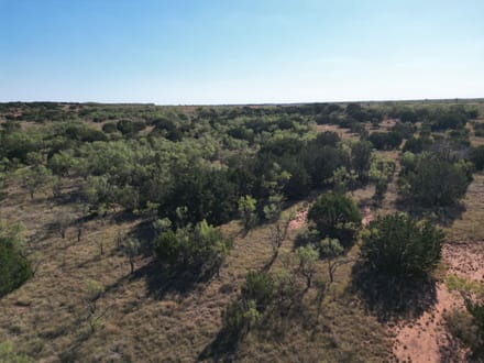 48.5 +/- Ac TBD CR 206 (Tr 3), Ovalo