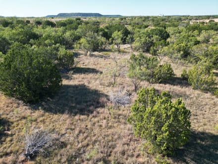 48.5 +/- Ac TBD CR 206 (Tr 3), Ovalo