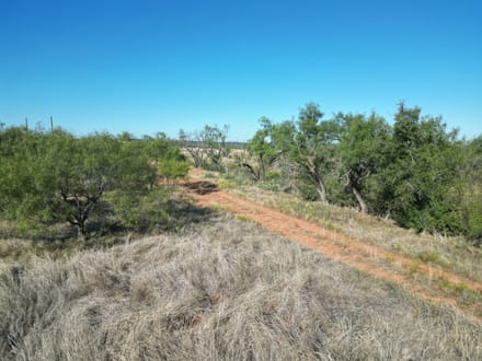 48.5 +/- Ac TBD CR 206 (Tr 3), Ovalo