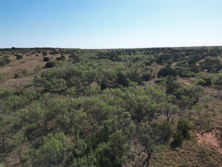 48.5 +/- Ac TBD CR 206 (Tr 3), Ovalo