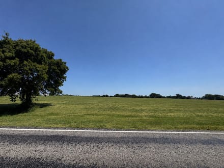 000 Lot 12 FM 79 Sumner, TX 75486
