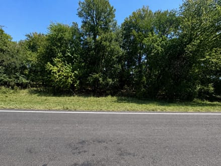 000 Lot 15 FM 79 Sumner, TX 75486