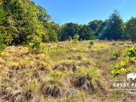 80 Acres with 2-Acre Stocked Fishing Pond & Hunting Cabin