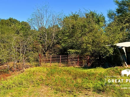 80 Acres with 2-Acre Stocked Fishing Pond & Hunting Cabin