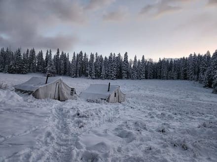 Colorado Hunting and Outfitting Business For Sale