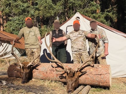 Colorado Hunting and Outfitting Business For Sale