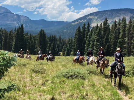 Colorado Hunting and Outfitting Business For Sale