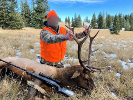Colorado Hunting and Outfitting Business For Sale